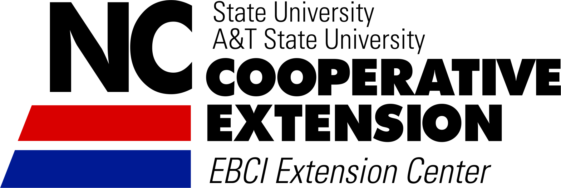 EBCI_Extension_logo_color