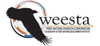 Oweesta Logo